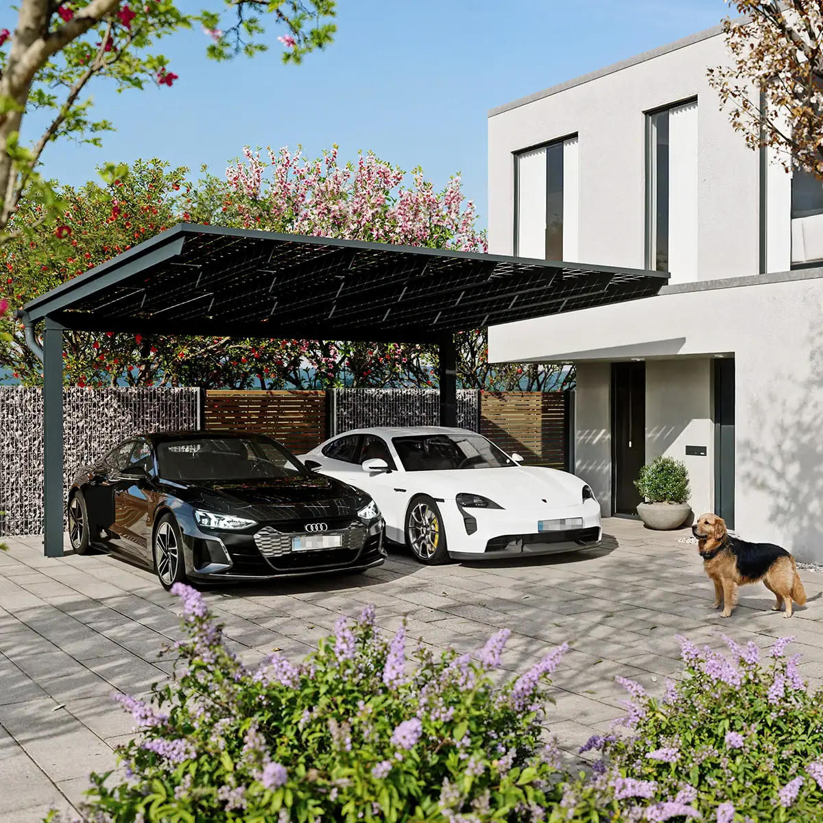 3D-Visualisierung eines Stahlcarports als Gartenprodukt